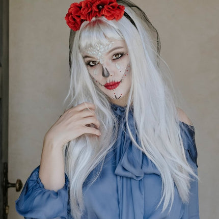 Zilveren Pruik Lang Haar van Partydeco koop je bij Partywinkel