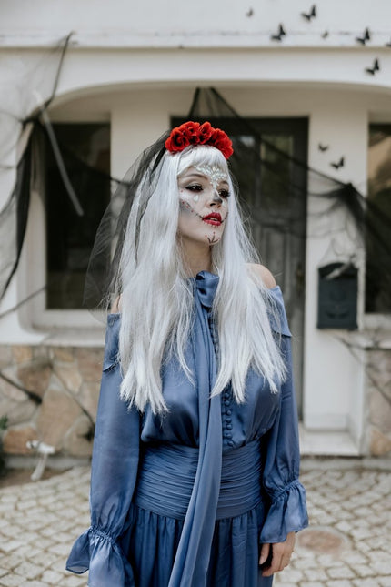 Zilveren Pruik Lang Haar van Partydeco koop je bij Partywinkel