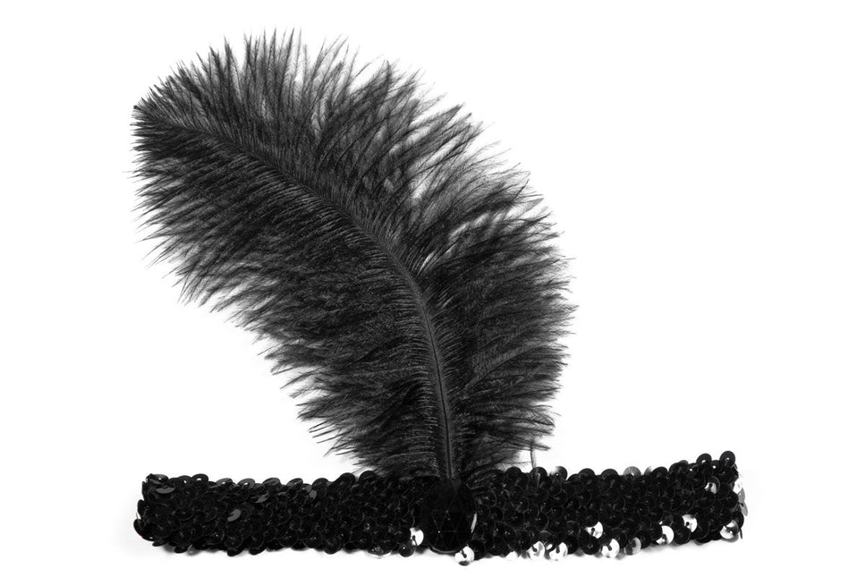 Zwarte Hoofdband Charleston Met Veer van Wilbers & Wilbers koop je bij Partywinkel